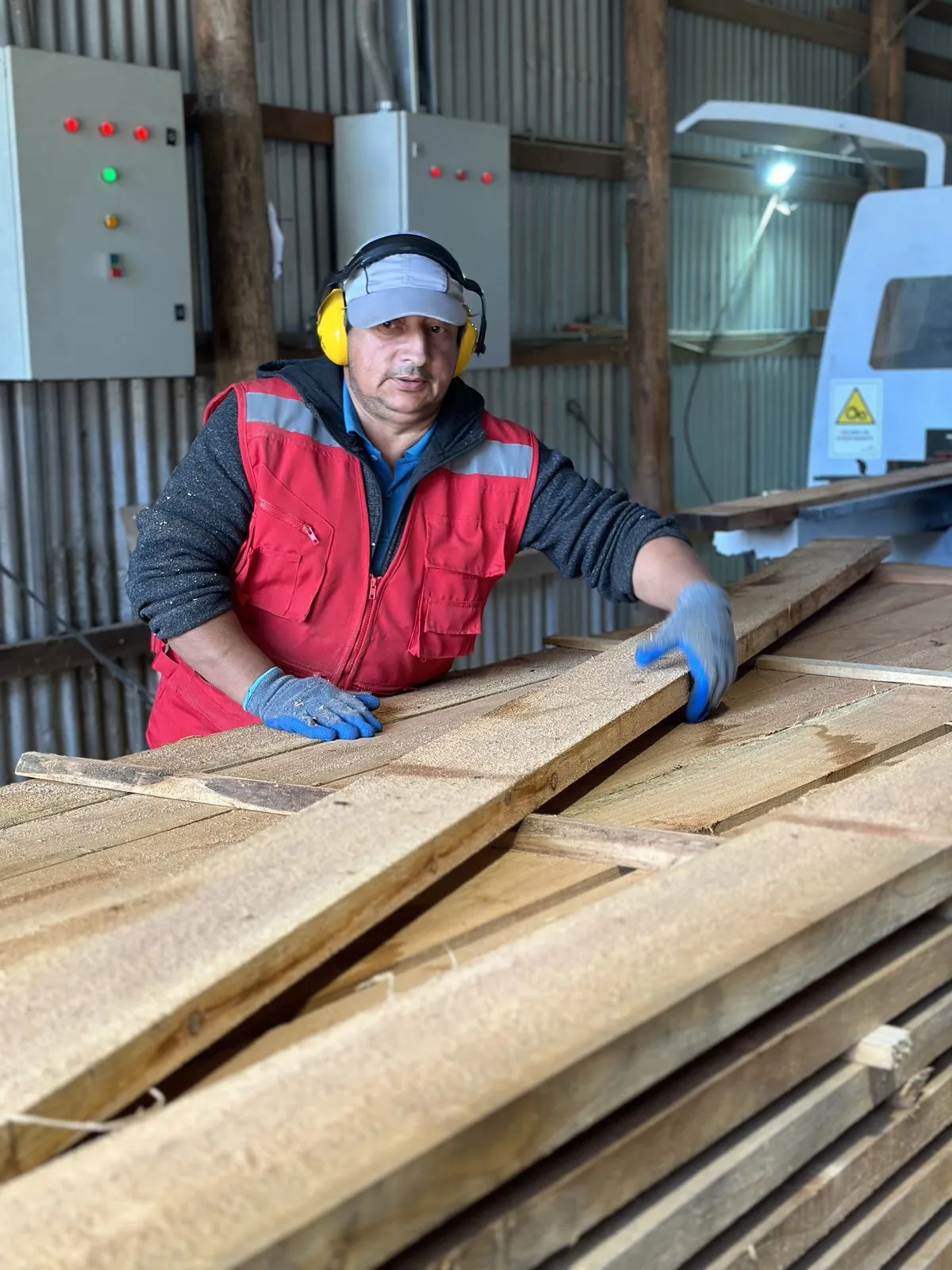 Operario clasificando tablas en la línea de aserrío