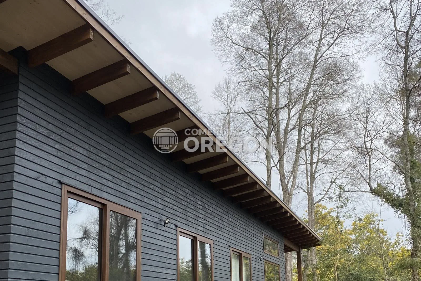 La veta del Pino Oregón: la madera que se luce incluso pintada de negro