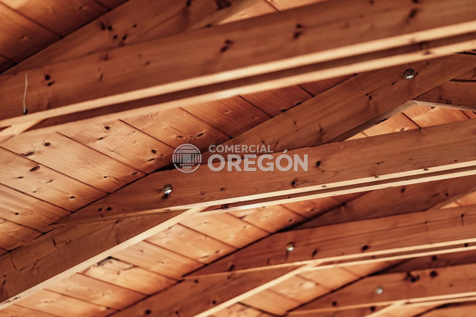 Canadá crea un programa para fomentar la construcción en madera
