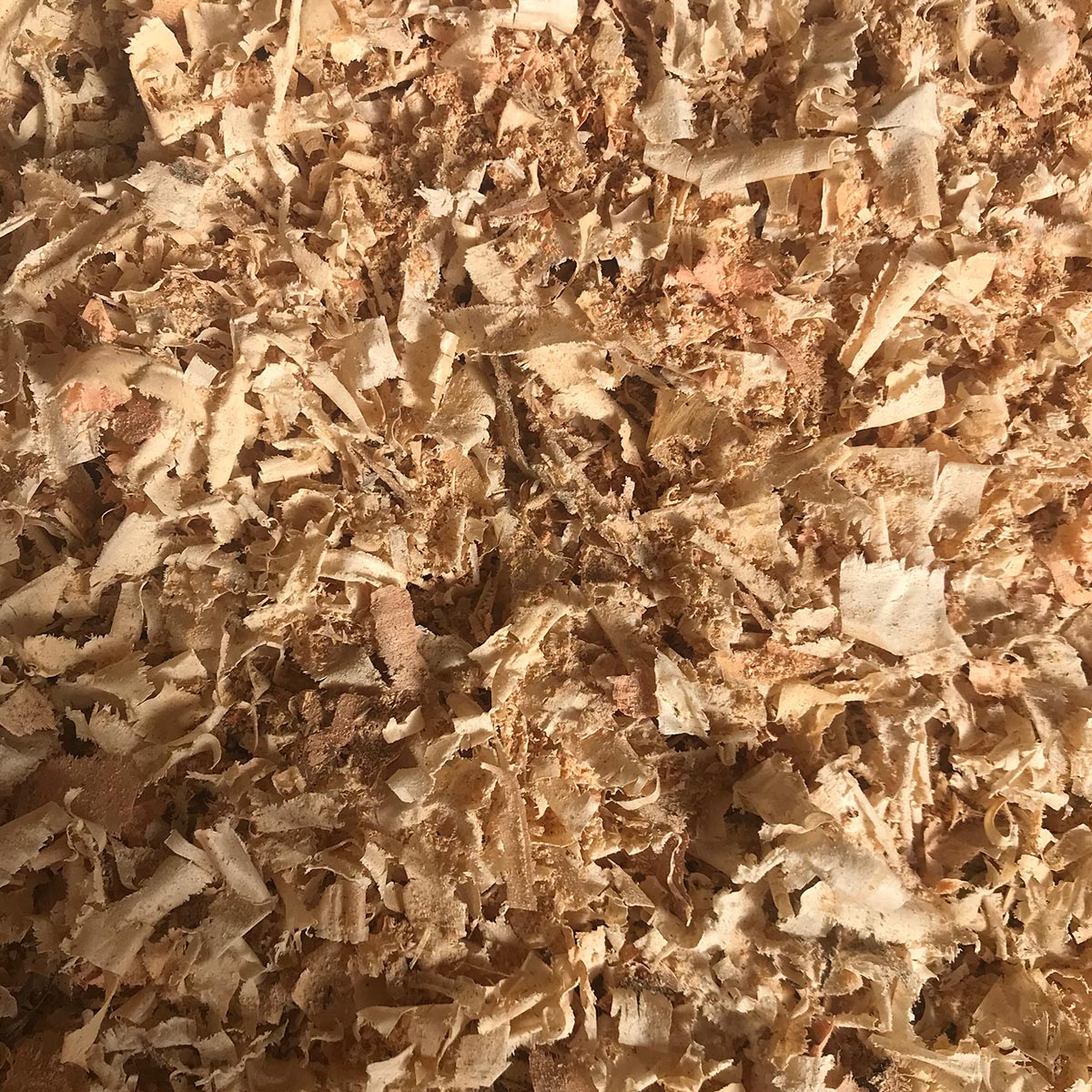 Viruta